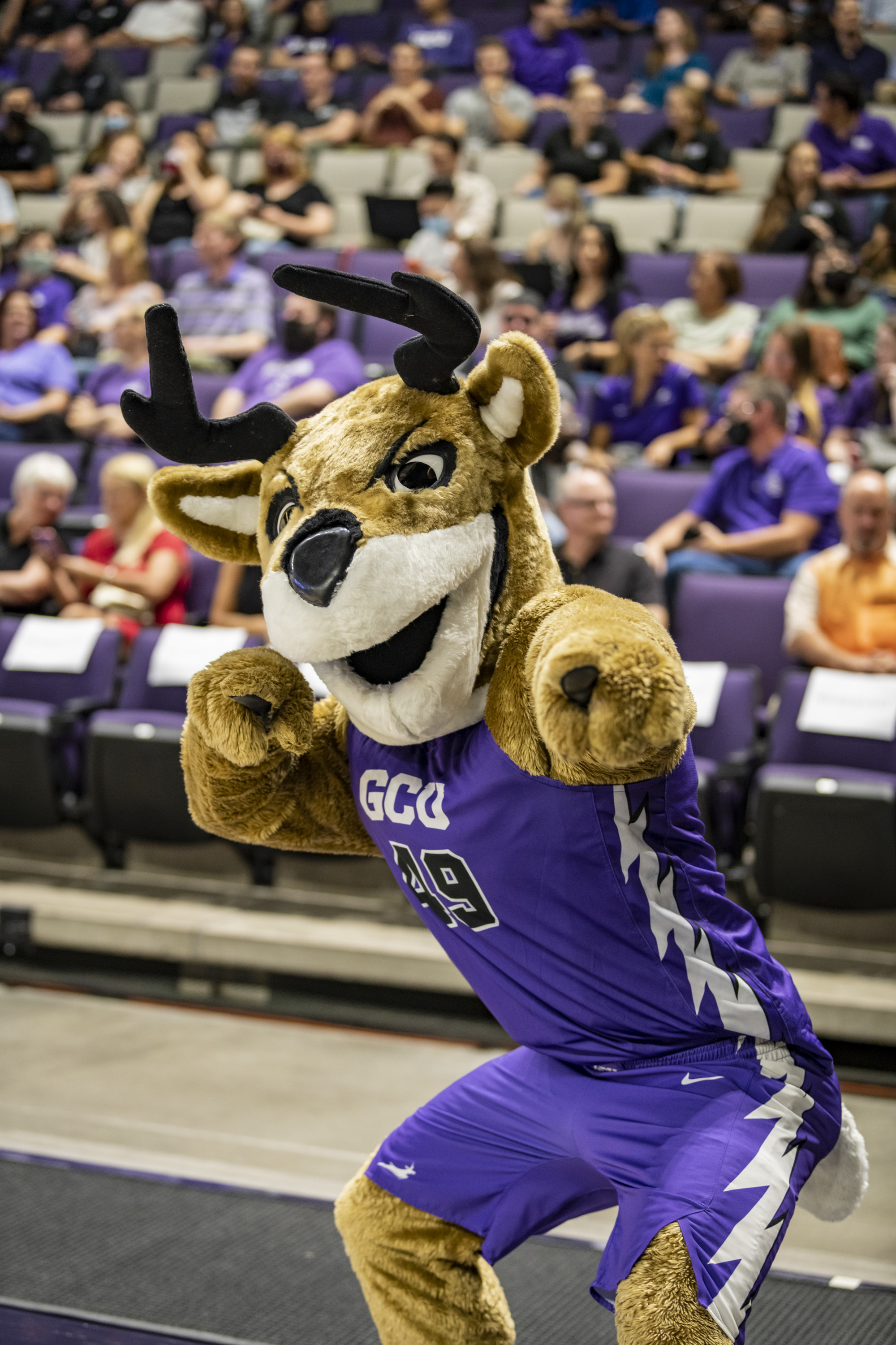 Thunder posing in the GCU Arena